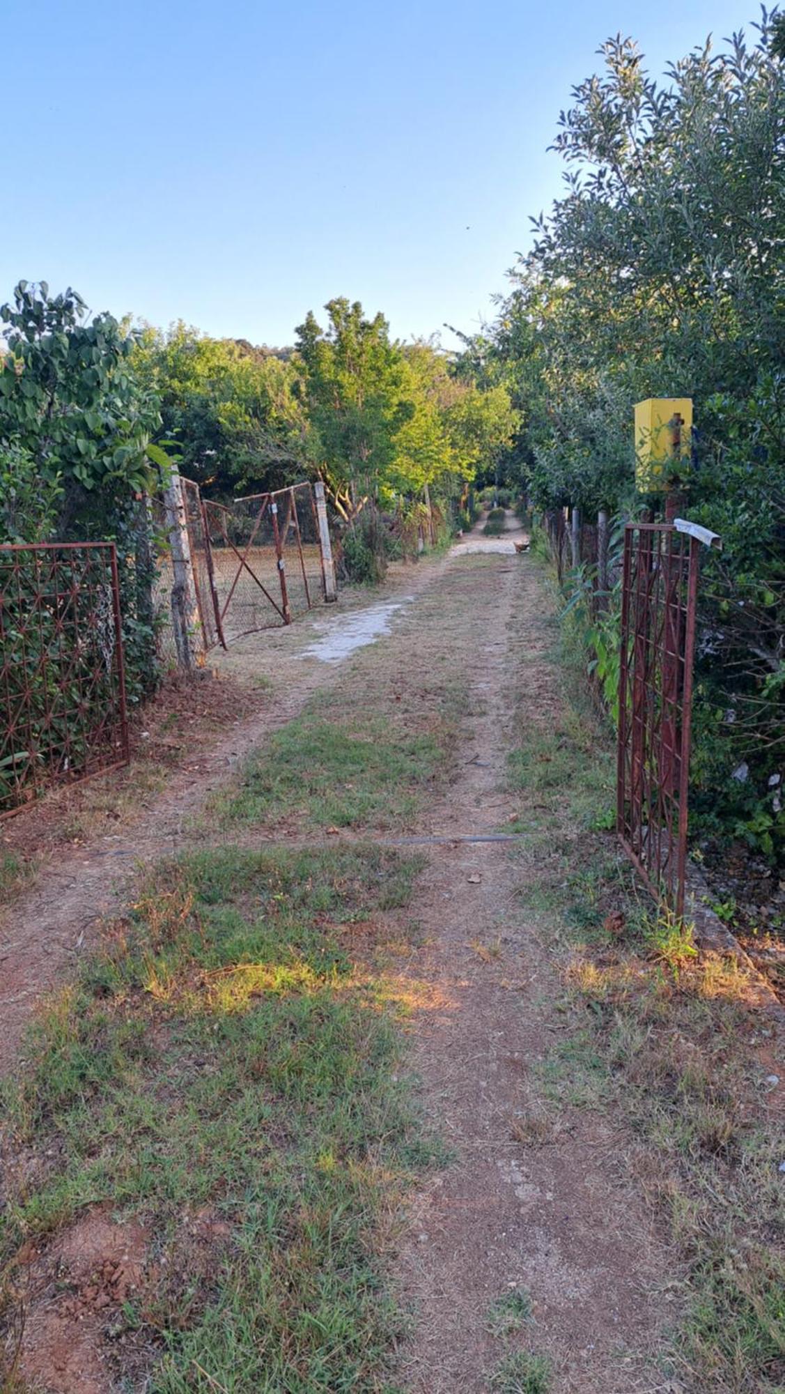 Kuca Za Odmor Mizi Vila Vintijan Exterior foto